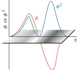 Borns tolkning Ψ 2 är sannolikhetstätheten Sannolikheten P(x) att finna partikeln i en liten volym