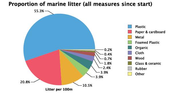 Plastens andel av skräpet Av allt skräp som hittades på stranden var 55,3 % plast.