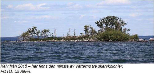 De årliga inventeringarna av fåglar på häckande skär i Vättern (genomförs även i Mälaren och Vänern) visar på att antalet skarvbon minskat från toppnoteringen från 2007 på knappa 1 300 bon till