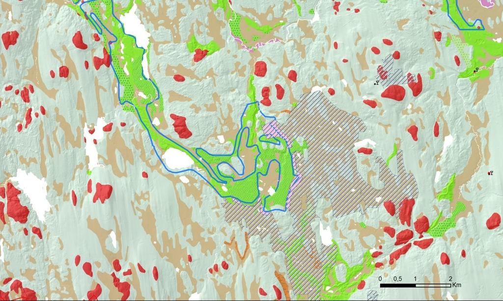 Sveriges geologiska undersökning Figur 1. Stormossens Natura 2000-område väster om Ludvika (det större rastrerade området). De rosa ytorna visor kontaktytor som bedömts vid kopplingsarbetet.