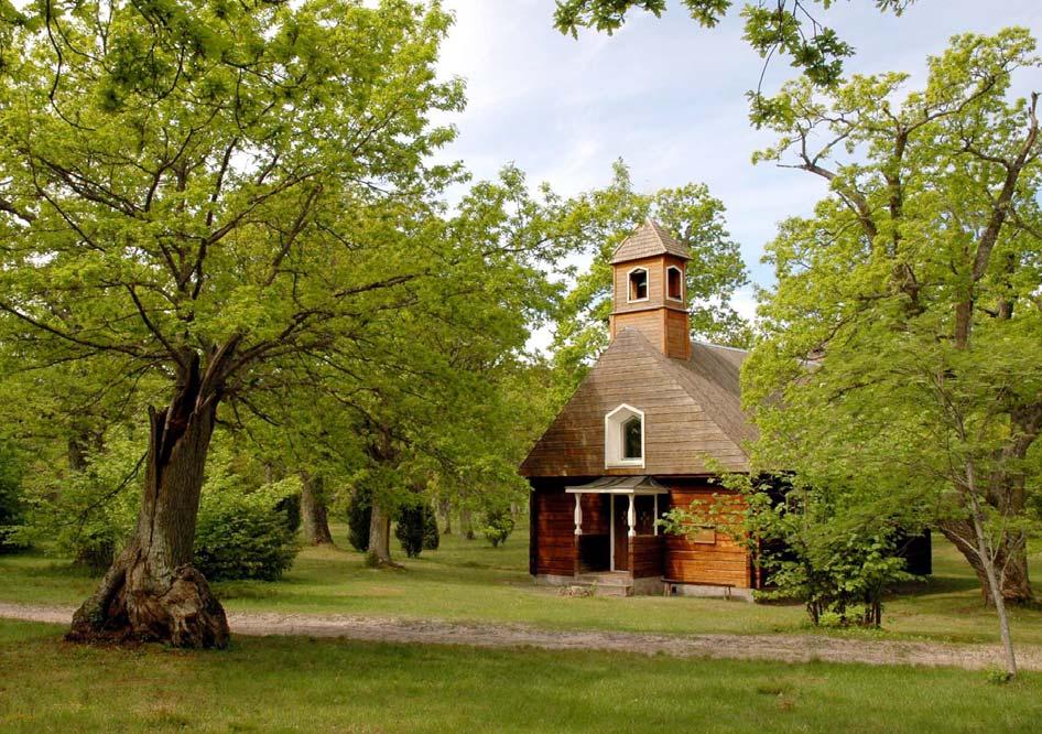 Några lichenologiska iakttagelser från Gotska Sandön, 12-16/6 2005 Sammanfattning Svante Hultengren, Naturcentrum AB Under juni månad 2005 besöktes Gotska Sandön med syftet att, inom ramen för de