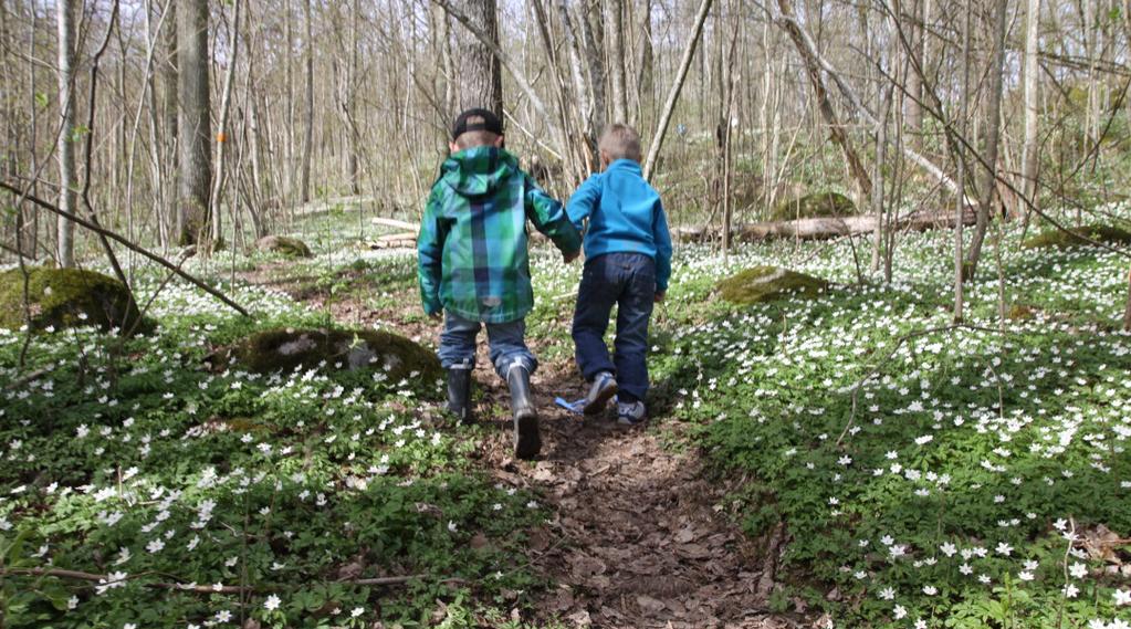 Handlingslinje för friluftsliv och tätortsnära natur, social hållbarhet Figur 7. Slottsbergets naturreservat. Foto Jens Mattsson.