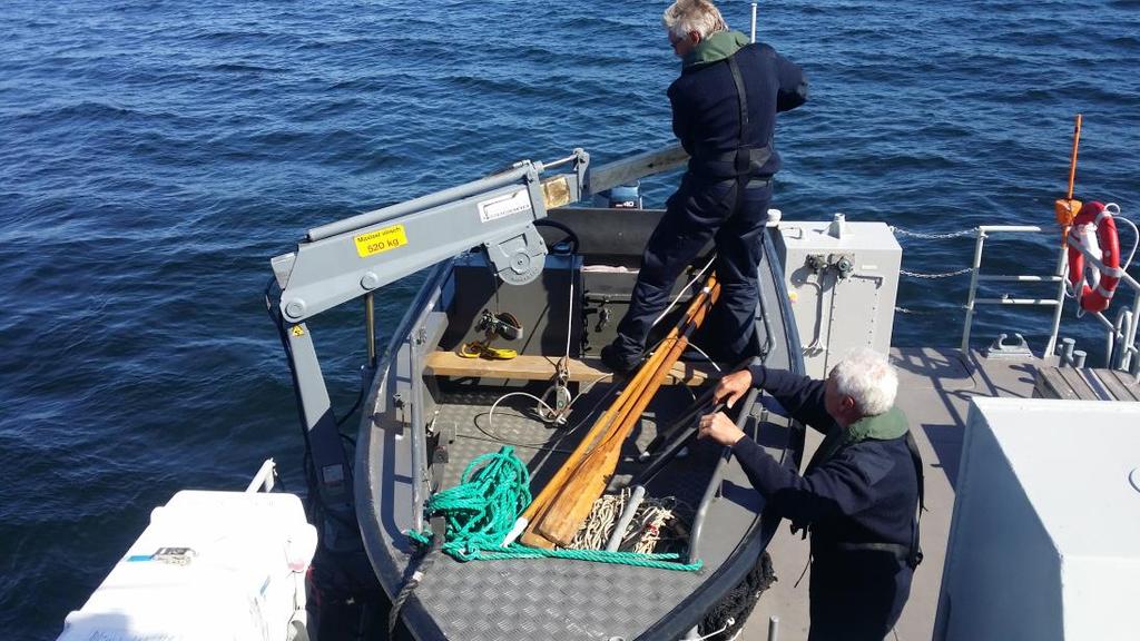 Kameran hölls 50 cm över botten i 45 graders vinkel mot botten, vilket gav en filmad bredd på 82 cm. För att uppnå 5 m 2 provtagningsyta filmades 6,1 m långa transekter på varje station.