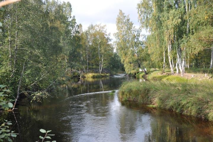 Miljöintressen Natur, kultur mm Riksintressen Galvån/Rösteån - Naturmiljö Koldemo och