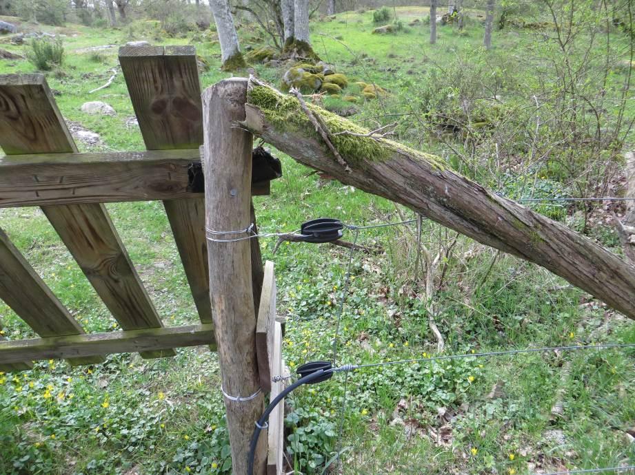Stängselslut Vid stängselslut används äggisolatorer.