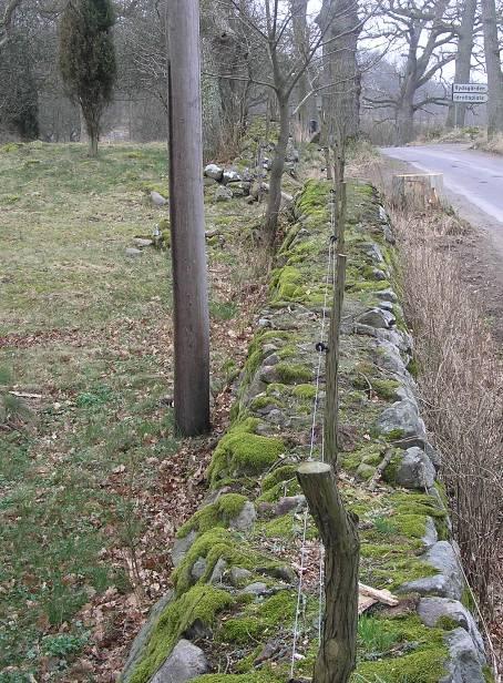 Den nedersta tråden ska sättas 10 cm från stenmuren.