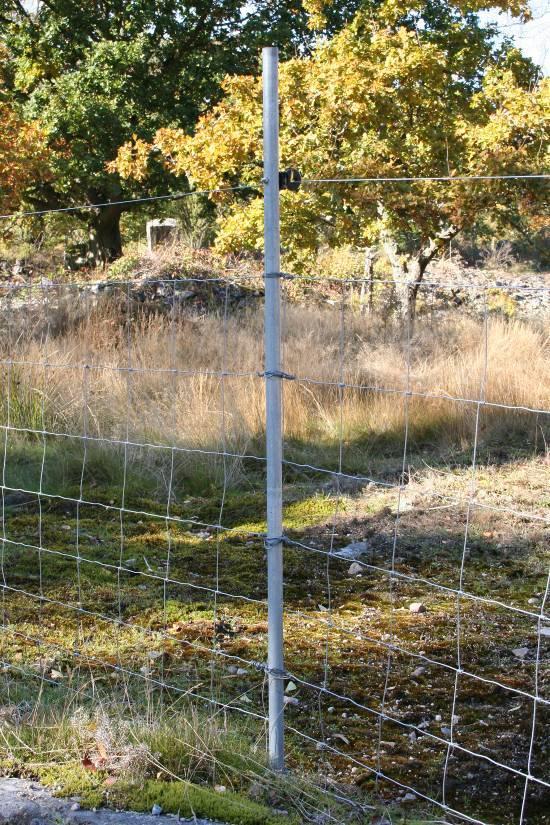 Stolpar Stolpavstånd Stolparna sätts med