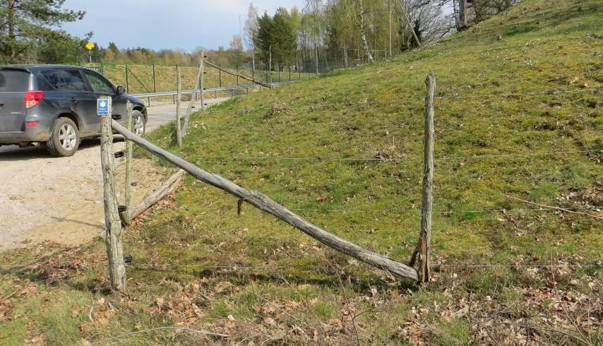 visar en kortare sträva, men i de flesta