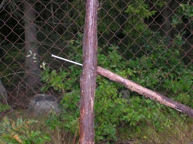 Strävning av stolpar skall göras från övre delen av stolpen till