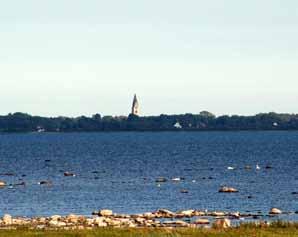 Inventering av fladdermöss vid näsudden på gotland 2011 Projektets geografiska placering Näsudden är en halvö på sydvästra Gotland belägen omkring 18 kilometer från Gotlands sydspets.