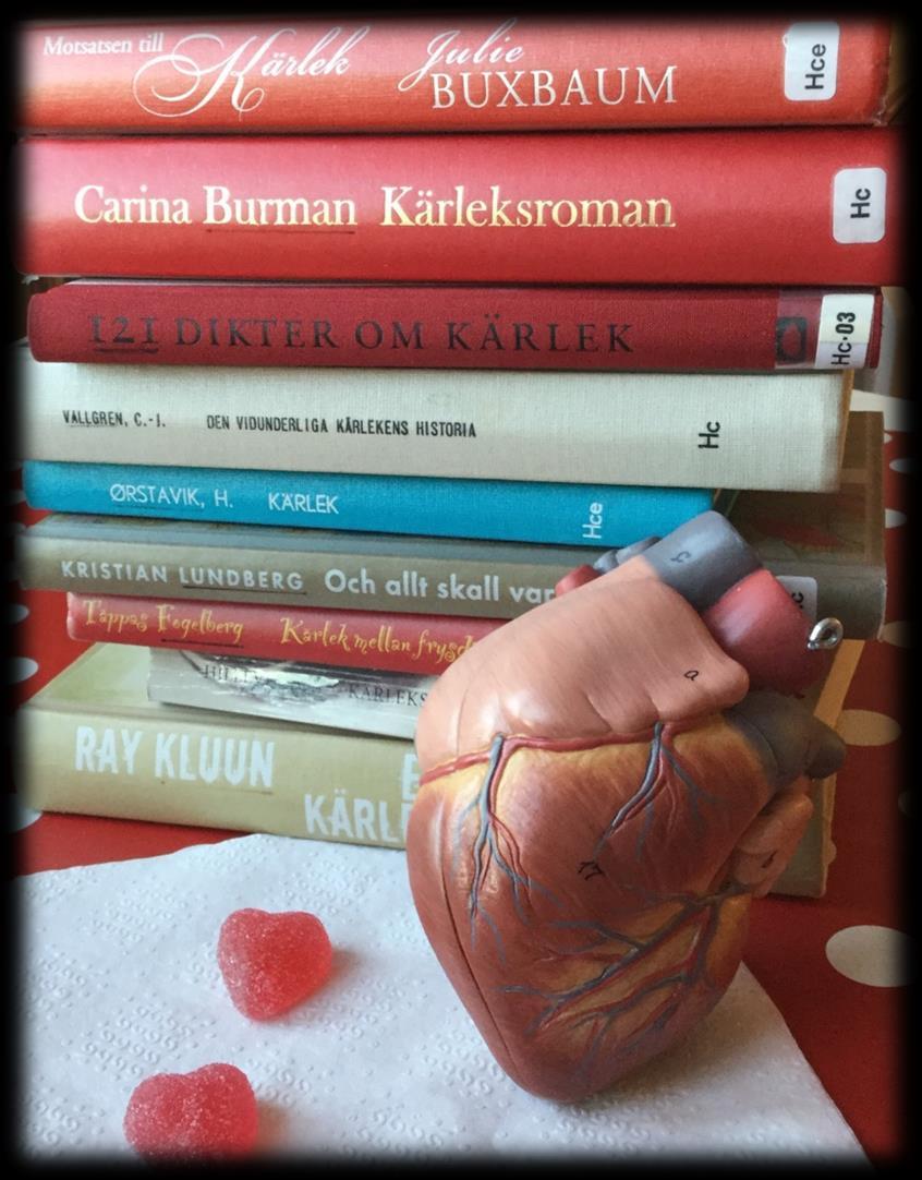 2017 FEBRUARI Sök, reservera och låna om i vår webbkatalog Sök, reservera och låna om i vår webbkatalog Kontakta ditt bibliotek i
