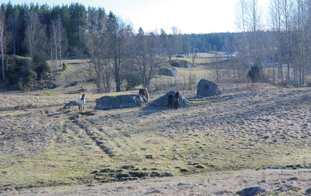 SKOG OCH MARK ÅKER- OCH BETESMARK Åkermarken uppgår till 7,8 ha och betesmarken till