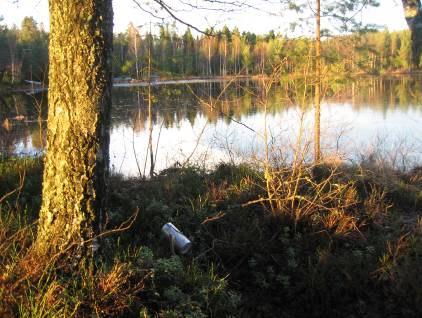 Detta är ett litet tjärn som isen lägger sig tidigt på. Detta hade delvis redan skett när loggarna placerades ut (figur 6). Figur 6.