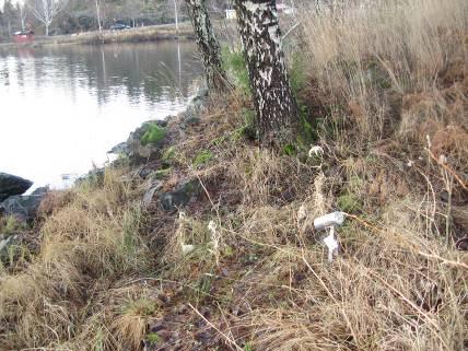 . (Foto: Linda Ericsson) Logger placerades vid Svärdlång som är en mycket avlång sjö, ungefär 1, mil lång och på de flesta ställen inte mer än meter