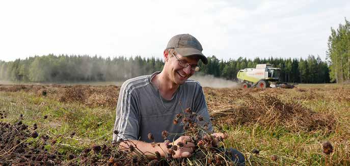 frötorkar fixar Dalslandsregnen Med 300 hektar ekologiskt vallfrö i ett område som är känt för sin höga nederbörd är torkningen viktig för Richard Johansson.
