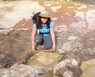 Tillsammans med några forskare från Bolivia tog hon stenprover för att titta på de fossila pollen som finns i stenen och hon fotograferade och mätte jättehäftiga fotspår av dinosaurier.