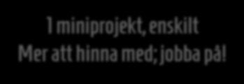 Projektbeskrivning!