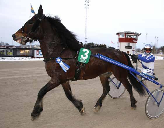 stall leif witasp kajsa frick RAPPORT FÖR FEBRUARI 2017