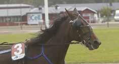 Idag var det så dags då han spurtade hem V65-4 på Solvalla idag. Leif Witasp serverade femåringen en invändig resa som tredje häst och kunde komma ut i andra utvändigt på bortre långsidan.