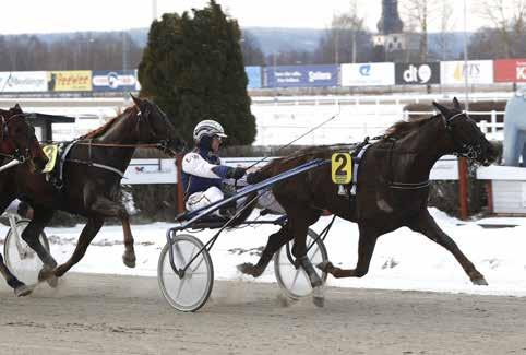 nyhetsbörsen februari2017 170213 Snygg debut av Bear Seat Igår gjorde Bear Seat karriärens första start. Det slutade på bästa sätt med en övertygande spetsseger.