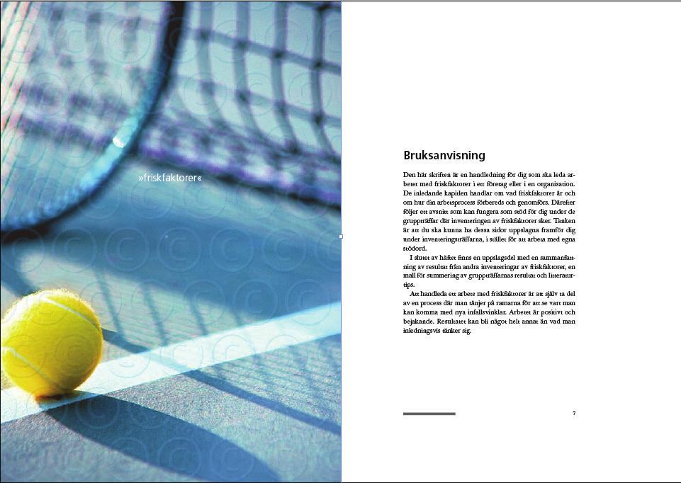 Kapitelindelning En