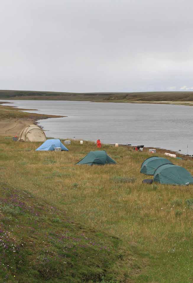 Mammutar och andra djur Love har rest till Sibirien flera gånger för att leta efter nya fynd av olika djur. Framförallt letar han efter mammut.