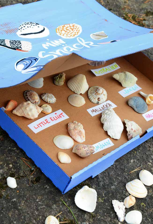 STARTA EN SAMLING I PIZZA- KARTONGEN Text och foto: Gunilla Kjellander