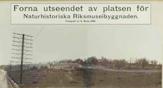 VISSTE DU DETTA OM MUSEET?