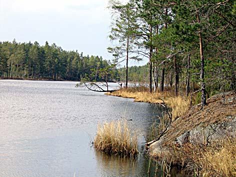 4. Mögsjön Datum: 2006-05-11 Flodområde: 65 Nyköpingsån Koordinat: 6561180/1533140 xxxxx 10m N Foto ca 200m väg Vikens Ö strand ca 200 m från vägen.