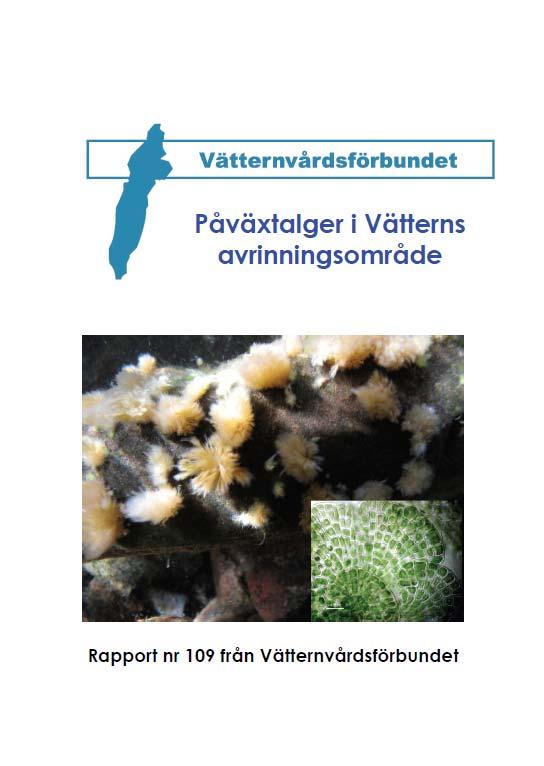 Utgivna rapporter under 211 Rapport 19: Påväxtalger i Vätterns avrinningsområde Roland Bengtsson, Mikroalg De äldsta uppgifterna om påväxtalger i Vättern presenterades år 1939.