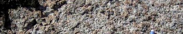 Figure 5-14. Medium- to coarse-grained granite (PSM004100). The fine-grained dioritoid is grey and commonly unequigranular with 3 to 5 mm large megacrysts of hornblende and plagioclase.