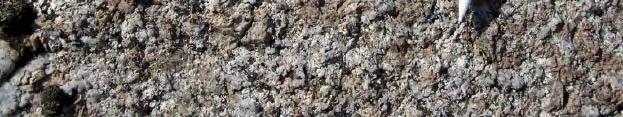 (Appendix 1). Furthermore, diorite to gabbro is also frequently occurring as more or less minor bodies in the northern part and north of the Laxemar subarea.