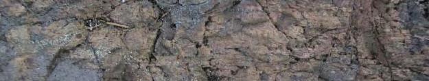 Strongly deformed, mylonitic Ävrö granite within the northern branch of the so-called Äspö shear
