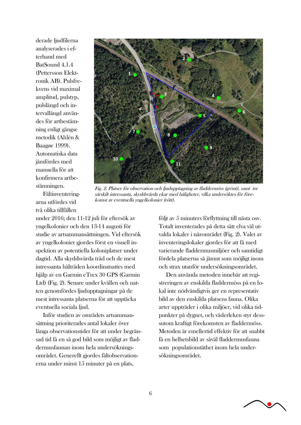 deradeljudfilerna analyserades i efterhandmed BatSound4.1.4 (PetterssonElektronik AB).
