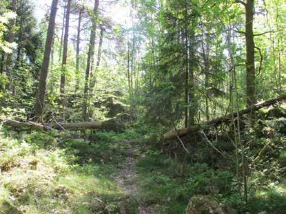STRÖMSLUND 13. KÄLLSTORPSPARKEN Mindre STADSDELSPARK park- och lekområde Naturpark Ca 12 ha Saknar till största delen skydd genom detaljplan.