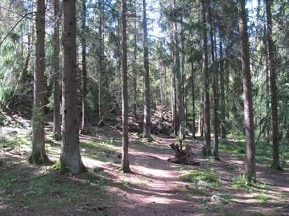 Källstorpsparken består av kuperad naturmark med blandskog men med bitvis stora inslag av gran och tall.