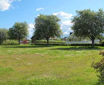 Öppen naturmark kantar området mot ledningsgatan. Nedskräpning verkar vara ett problem.