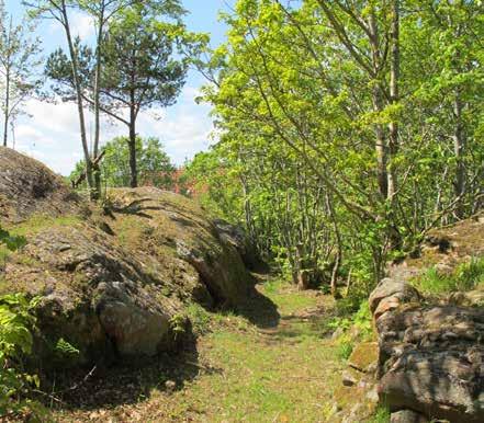 6. EDDAPARKEN Bostadsnära natur Ca 1,5 ha D7/2003 Natur: naturområde Eddaparken är sammanhängande naturmarksområde i anslutning till
