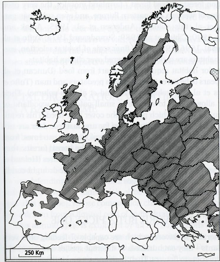 1. INLEDNING 1.1 Rådjuret Rådjuret (Capreolus capreolus) är en av de viktigaste jaktbara vilten i Sverige (Jarnemo 2004). Med en vuxenvikt på cirka 23 30 kg.