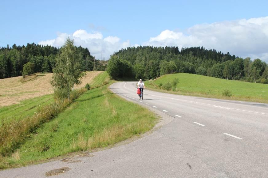 utredningsområdets västra del mot