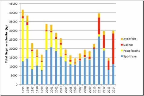 Total fångst av atlantlax på svenska västkusten Skåne till Bohuslän. Källa: SLU. havsbaserat fiske på blandbestånd i havet.
