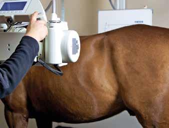 Här arbetar idag åtta veterinärer och tolv djursjukskötare/djursjukvårdare framför allt inriktade på sporthästmedicin. Husaby Hästakut i Skara Öppet året runt, dygnet runt.