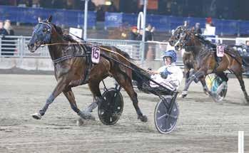 Körsven: Robert Bergh Skötare: Katarina Landell Km-tid:,/ 0 m X