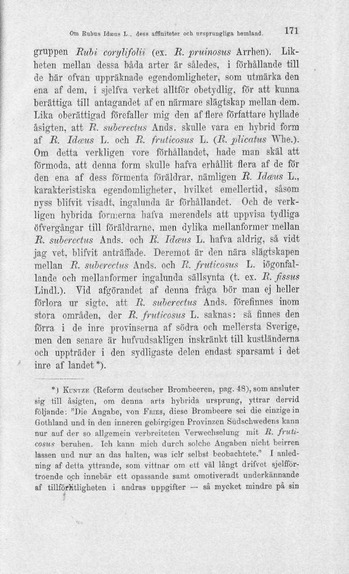 Om Rubn.i Idmnfl L, des» afflnitetor och urspruukligiv hemland 171 gruppen Rubi corylifoln (ex. R. pruinosus Arrhen).