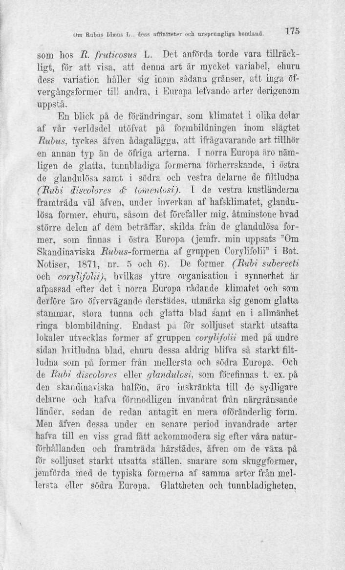 Om Rnbns Idums I. des«affinitewr ocli ursprungliga hemland 175 som hos R. fruticosus L.