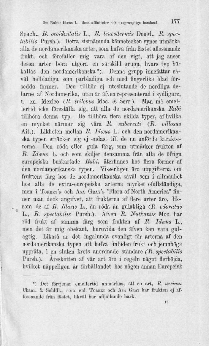 Om Kulins UheiiR L., duss nfitniteter och ursprungliga hemland. 177 Spacb., 11. occidentalis L., R. leucoäermis Dougl., Ii. spectabilis Pursh.