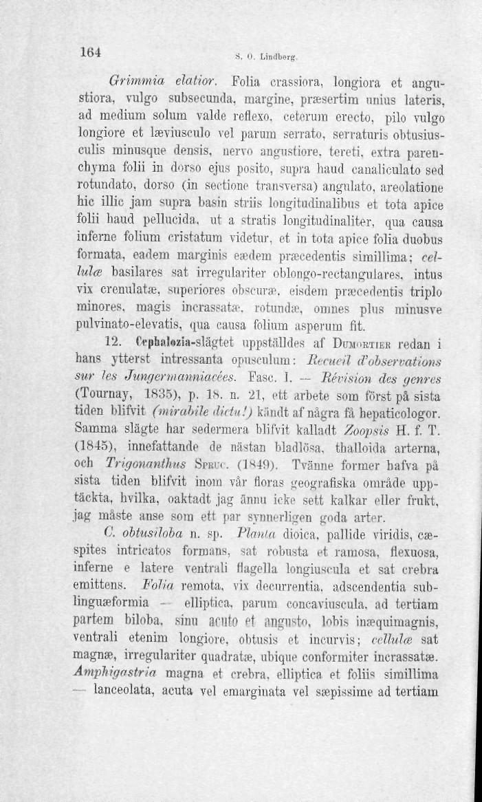 164 S. 0. Lindberg Grimmia elatior. Folia crassiora, longiora ct angustiora, vulgo subseeunda, margine, prasertim unius lateris, ad medium solum valde reflexo.
