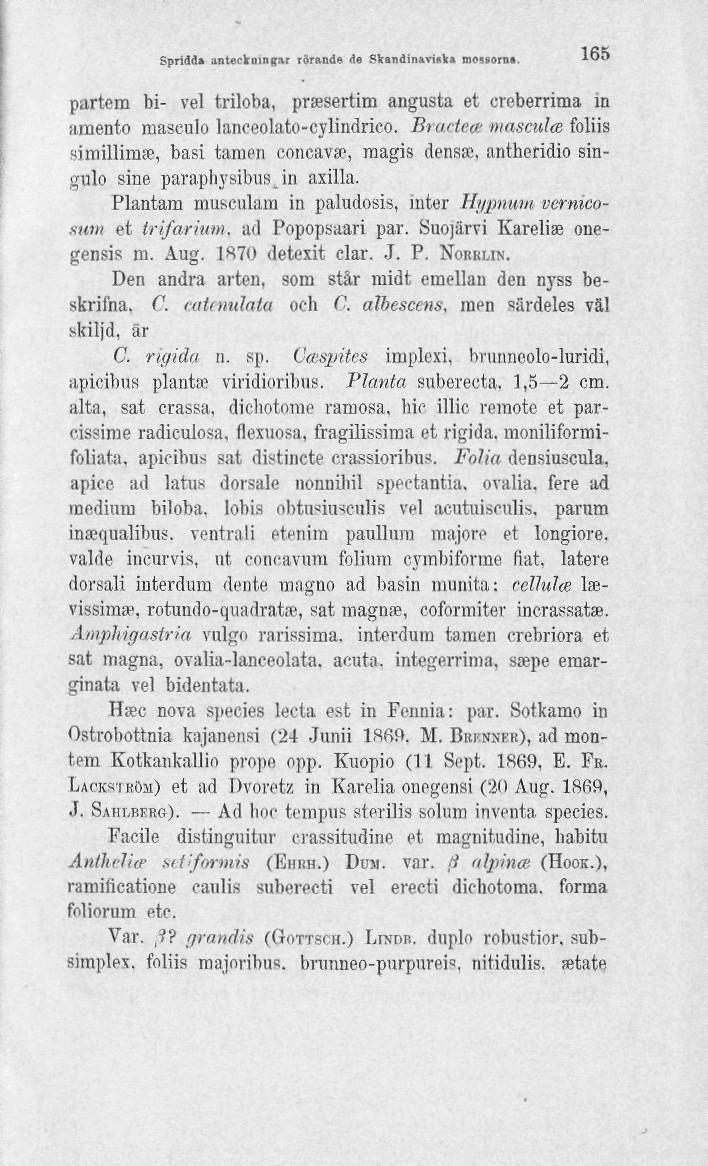 Spridd* anteckningar rörande de Skandinaviska mossorna. 165 partem bi- vel triloha, prasertim angusta et creberriraa in amento masculo lanceolato-cylindrico. Bractea mascula foliis si millima?