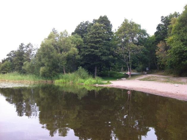 observerades längs en transekt men inte i något prov var pilblad, möja (obestämd till art), gräsnate, krusnate och vattenaloe.
