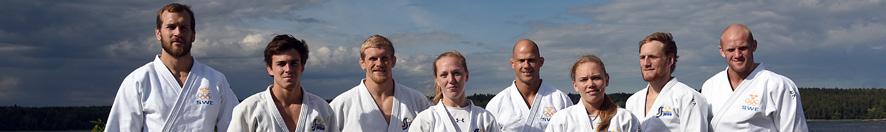 Erisson Informationsansvarig Kent Andersson Ekonomi Michael Holm Kontaktperson i fs Landslagsutskottet (LU) var verksamt mellan januari till september.